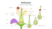 501482-pollination-02