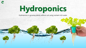 501487-hydroponics-01