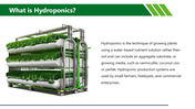 501487-hydroponics-02