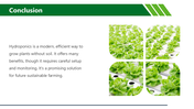 501487-hydroponics-10
