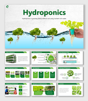 Hydroponics grows plants without soil using water, nutrients, space-saving systems, and faster yield methods.