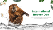 501497-international-beaver-day-01
