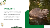 501497-international-beaver-day-02