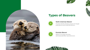 501497-international-beaver-day-04