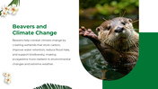 501497-international-beaver-day-06