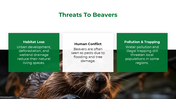 501497-international-beaver-day-07