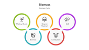 501505-biomass-02