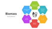 501505-biomass-04