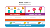 501514-plants-hormone-presentation-02