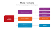 501514-plants-hormone-presentation-05
