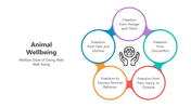 501517-animal-wellbeing-01