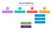 501517-animal-wellbeing-03