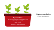 501529-phytoremediation-01
