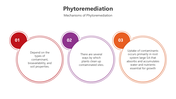 501529-phytoremediation-03
