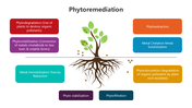 501529-phytoremediation-04