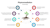 501529-phytoremediation-05