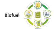501561-biofuel-01