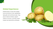 501622-international-day-of-potato-05