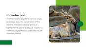 501631-international-day-of-the-markhor-02