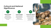501631-international-day-of-the-markhor-04