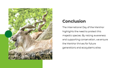 501631-international-day-of-the-markhor-05