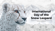 501682-international-day-of-the-snow-leopard-01