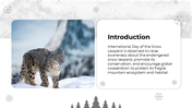 501682-international-day-of-the-snow-leopard-02