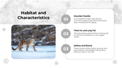501682-international-day-of-the-snow-leopard-03