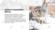 501682-international-day-of-the-snow-leopard-05