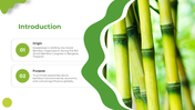 501713-world-bamboo-day-03