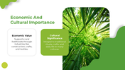 501713-world-bamboo-day-04