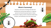 501824-biology-subject-for-high-school-ants-taxonomy-02