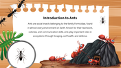501824-biology-subject-for-high-school-ants-taxonomy-03