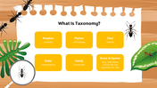 501824-biology-subject-for-high-school-ants-taxonomy-04