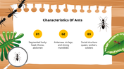 501824-biology-subject-for-high-school-ants-taxonomy-05
