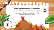 501824-biology-subject-for-high-school-ants-taxonomy-08