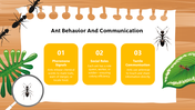 501824-biology-subject-for-high-school-ants-taxonomy-09