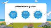 501825-biology-subject-for-high-school-bird-migration-04