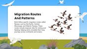 501825-biology-subject-for-high-school-bird-migration-06