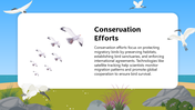 501825-biology-subject-for-high-school-bird-migration-08