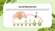 501831-biology-subject-for-high-school-reproduction-in-plants-06