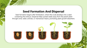 501831-biology-subject-for-high-school-reproduction-in-plants-08