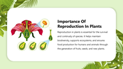 501831-biology-subject-for-high-school-reproduction-in-plants-10