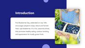 501836-pick-blueberries-day-02