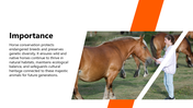 501844-national-i-love-horses-day-05