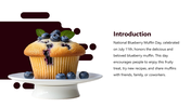 501849-national-blueberry-muffin-day-02
