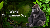 501856-world-chimpanzee-day-01