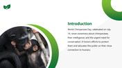 501856-world-chimpanzee-day-02