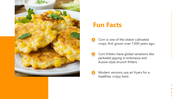 501868-national-corn-fritters-day-05