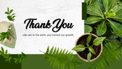 501909-leafy-green-thank-you-01